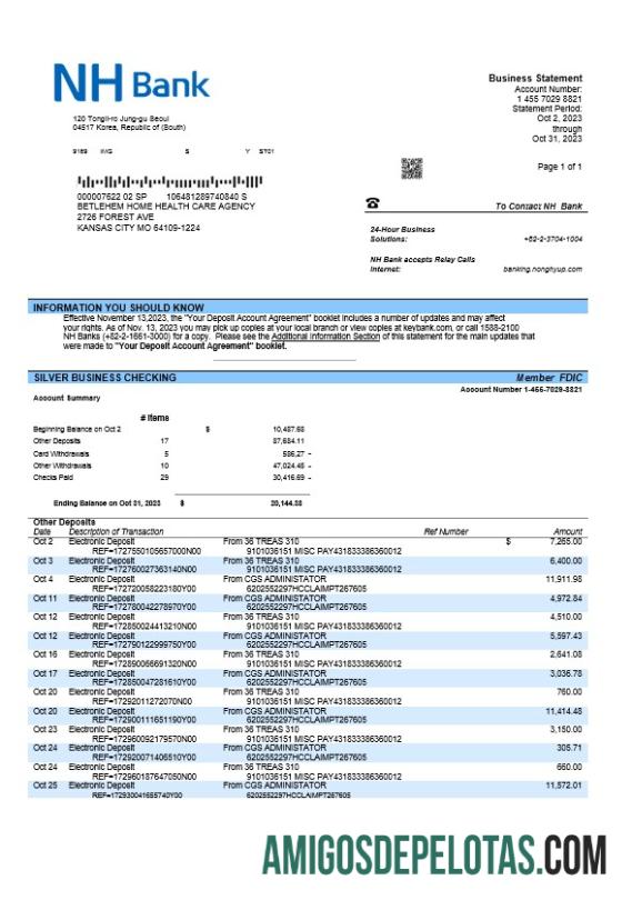 Em branco NH Bank Firm modelo de extrato de conta Word e PDF